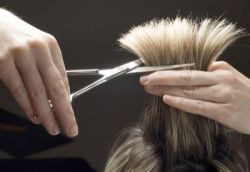 hair-dresser 250x172 hair-dresser 250x172